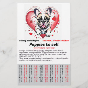 Franse Bulldog in uw huis Flyer