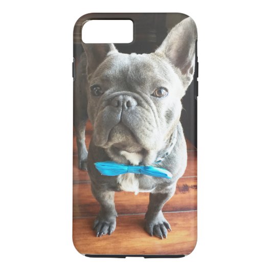 franse bulldog iPhone 7 plus hoesje (Achterkant)