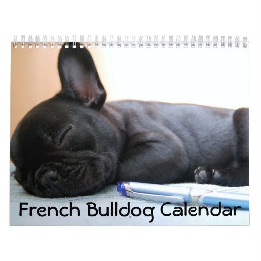 Franse Bulldog Kalendar 2016 Persoonlijk Kalender (Hoes)