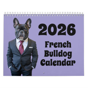 Franse Bulldog Kalendar Kalender