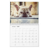 Franse Bulldog Kalender (Jan 2027)