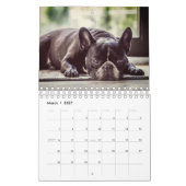 Franse Bulldog Kalender (Mar 2027)