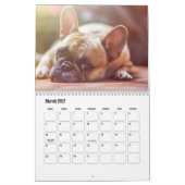 Franse Bulldog Kalender (Mar 2027)