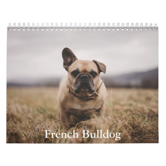 Franse Bulldog Kalender (Hoes)
