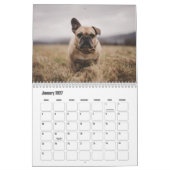 Franse Bulldog Kalender (Jan 2027)