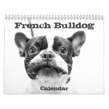 Franse Bulldog kalender 2016 Zwart Wit Aangepast