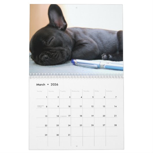 Franse Bulldog Kalender 2026 (Mar 2026)