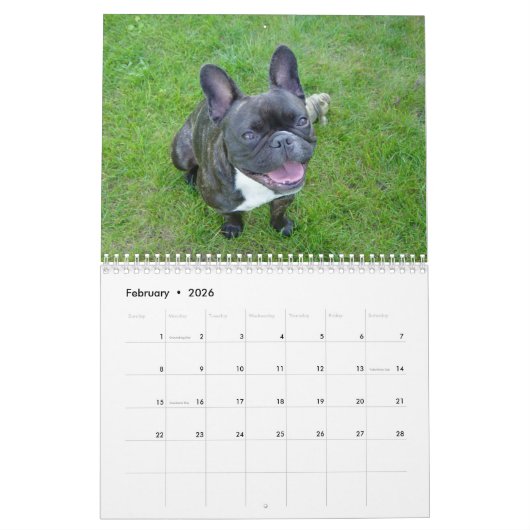 Franse Bulldog Kalender 2026 (Feb 2026)