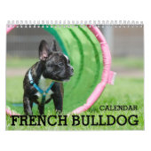 Franse Bulldog Kalender 2026 (Hoes)