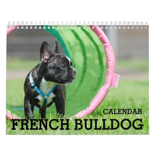 Franse Bulldog Kalender 2026 (Hoes)