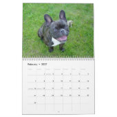 Franse Bulldog Kalender 2026 (Feb 2027)