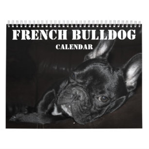 Franse Bulldog Kalender 2026 Met Foto's