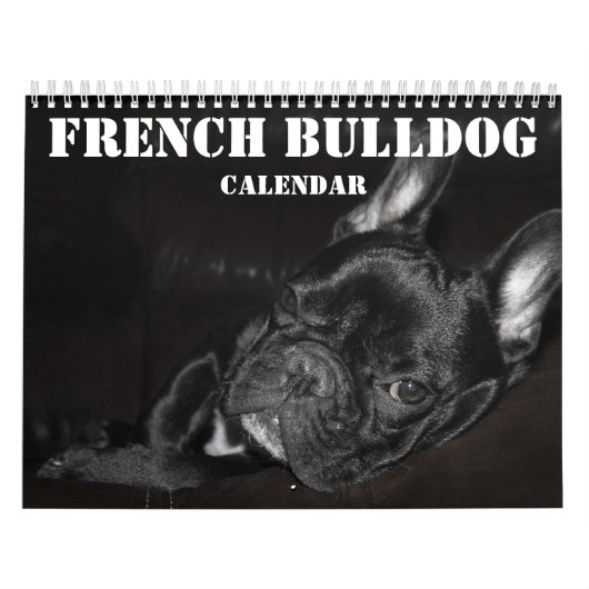 Franse Bulldog Kalender 2026 Met Foto's (Hoes)