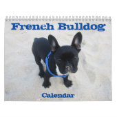 Franse Bulldog Kalender 2026 Ontwerp het (Hoes)