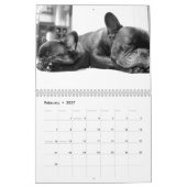 Franse Bulldog Kalender 2026 Ontwerp het (Feb 2027)