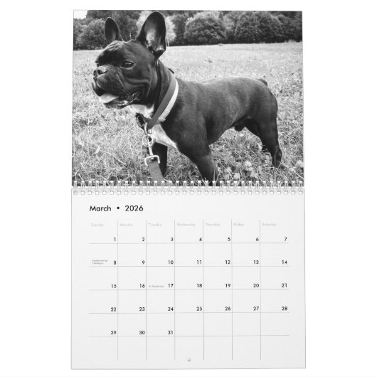 Franse Bulldog Kalender 2026 Zwart-wit (Mar 2026)