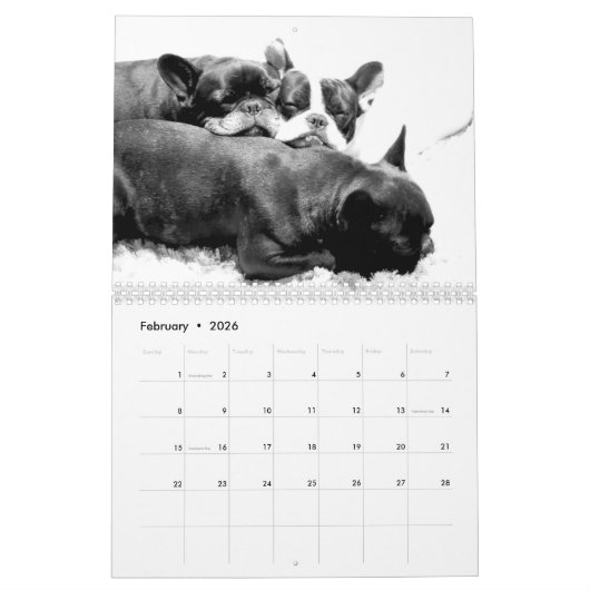 Franse Bulldog Kalender 2026 Zwart-wit (Feb 2026)