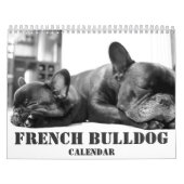 Franse Bulldog Kalender 2026 Zwart-wit (Hoes)