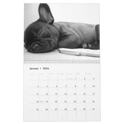Franse Bulldog Kalender 2026 Zwart-wit (Jan 2026)