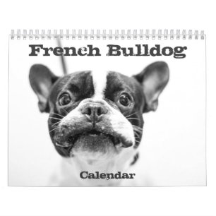 Franse Bulldog Kalender 2026 Zwart Wit