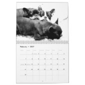 Franse Bulldog Kalender 2026 Zwart Wit (Feb 2027)