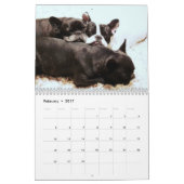 Franse Bulldog Kalender met uw foto's (Feb 2017)