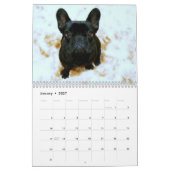 Franse Bulldog Kalender met uw foto's (Jan 2027)