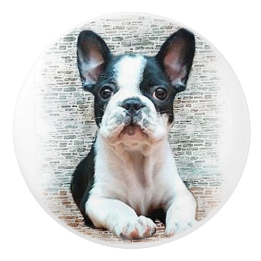 Franse Bulldog Keramische Knop (Voorkant)