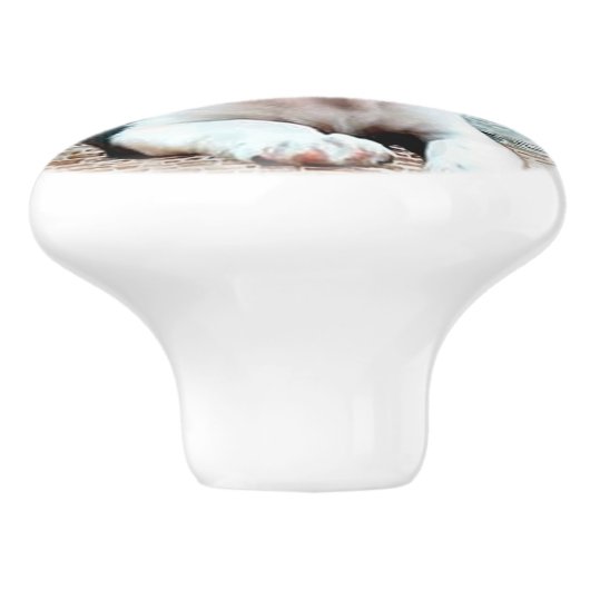 Franse Bulldog Keramische Knop (Zijkant)