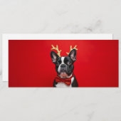 Franse Bulldog Kerst met vlinderdas  (Voorkant / Achterkant)