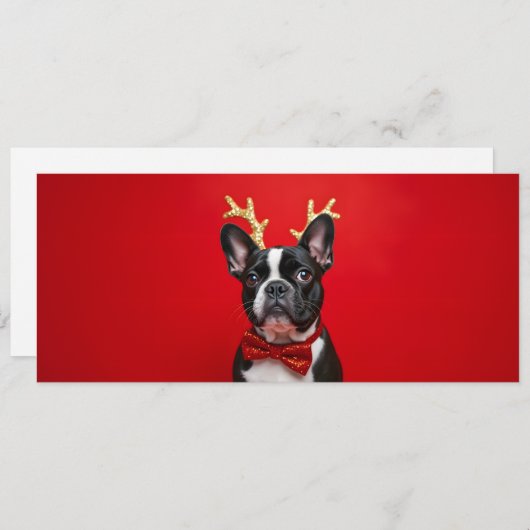 Franse Bulldog Kerst met vlinderdas  (Voorkant / Achterkant)