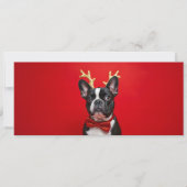 Franse Bulldog Kerst met vlinderdas (Voorkant)