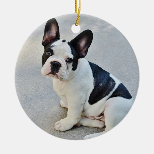 Franse Bulldog Kerst Ornament Met Uw Foto (Voorkant)