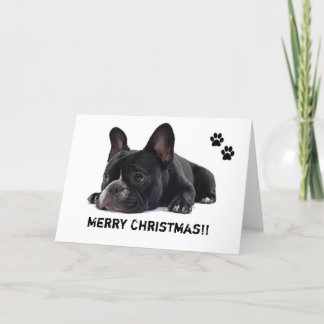 Franse Bulldog kerstkaart Feestdagen Kaart