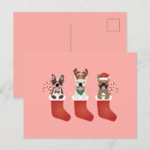 Franse Bulldog Kerstmutsen Briefkaart (Voorkant / Achterkant)