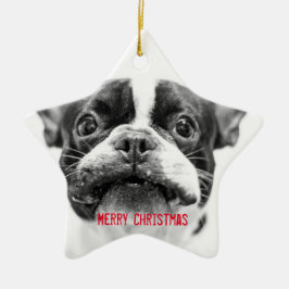 Franse Bulldog kerstversier Star Custom Keramisch Ornament