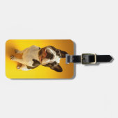 Franse Bulldog kijkt omhoog Bagagelabel (Voorkant horizontaal)