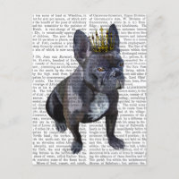 Franse Bulldog King