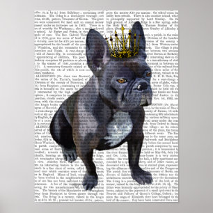 Franse Bulldog King Poster