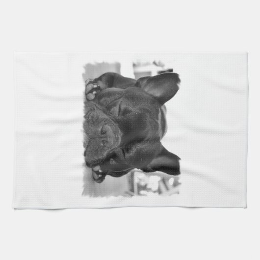 Franse Bulldog Kitchen Towel Theedoek (Horizontaal)