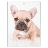 Franse Bulldog Klembord (Achterkant)