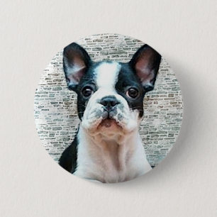 Franse Bulldog-knop Ronde Button 5,7 Cm