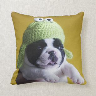 Franse Bulldog Kussen