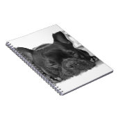 Franse Bulldog-laptop Notitieboek (Rechterzijde)