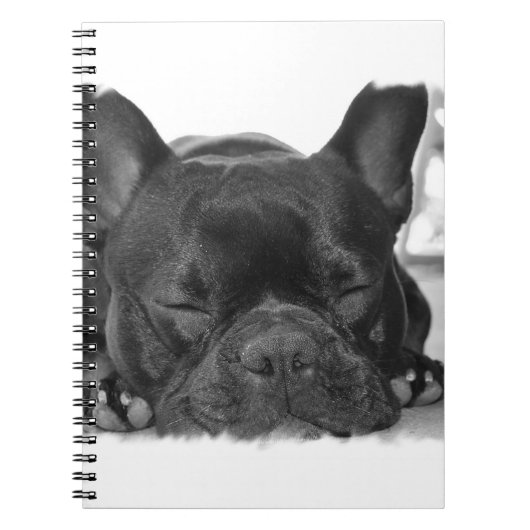 Franse Bulldog-laptop Notitieboek (Voorkant)