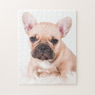 Franse Bulldog Legpuzzel