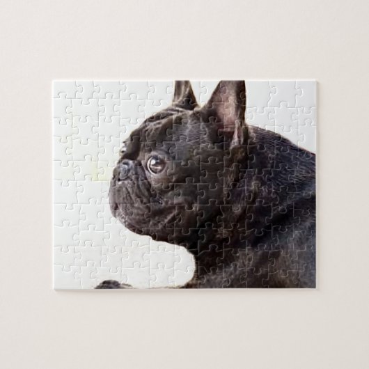 Franse Bulldog Legpuzzel (Horizontaal)