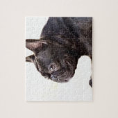 Franse Bulldog Legpuzzel (Verticaal)
