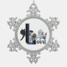 Franse Bulldog LOVE