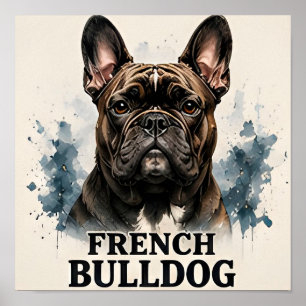 Franse Bulldog Luxe Verzameling Metgezel Poster